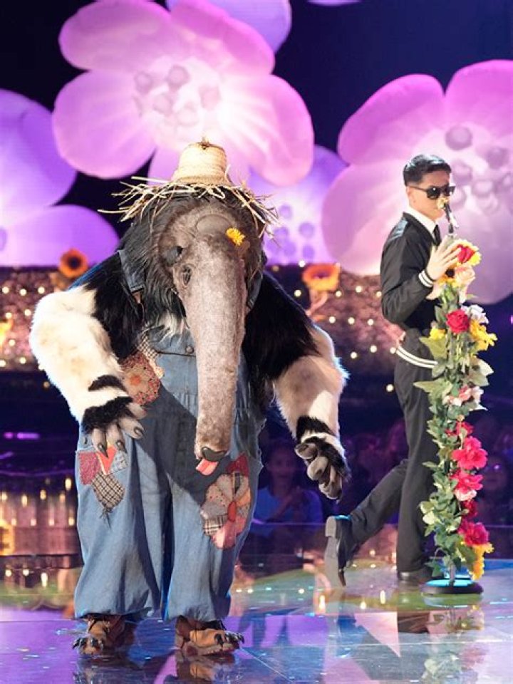 A New Anteater Clue Is Revealed – Hollywood Life
