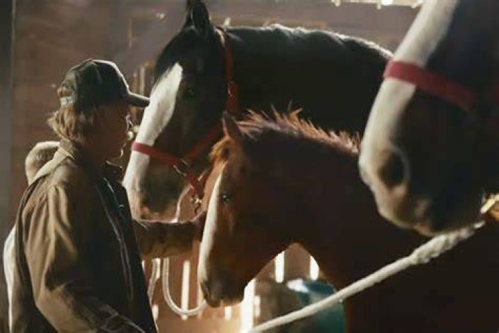 Dwyane Wade Tears Up As His Mom & More Pay Tribute Ahead Of Last Game In Budweiser Ad