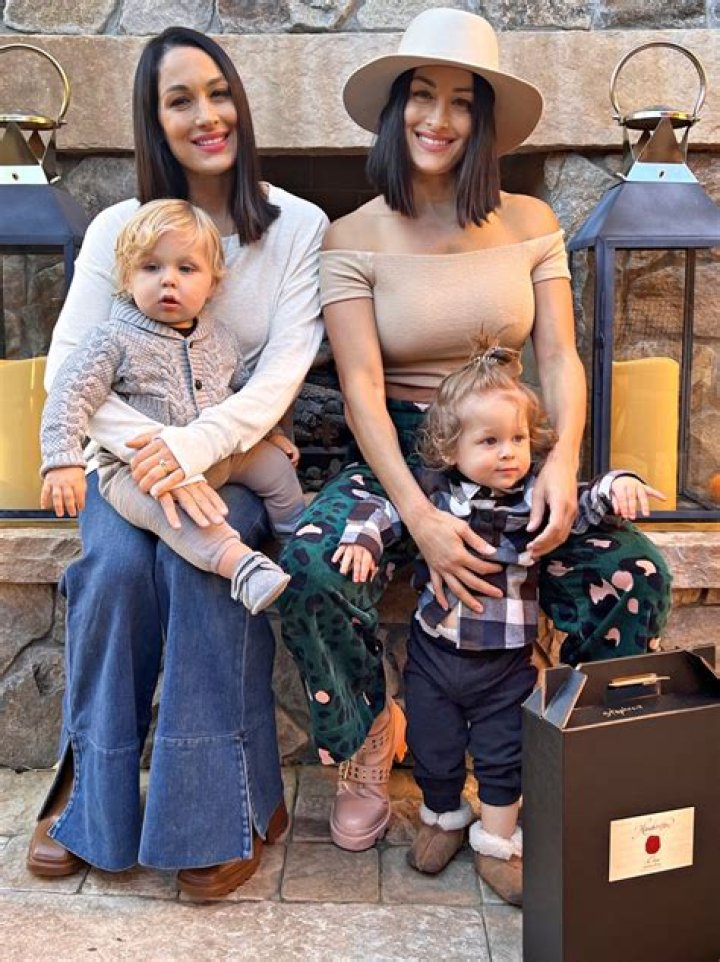 Nikki & Brie Bella Show Off Their Matching Baby Bumps: ‘Our Babies Grew So Much Last Night’ – Pic