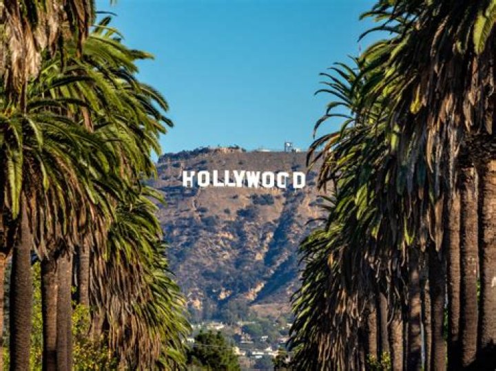 See The Amazing Photos – Hollywood Life